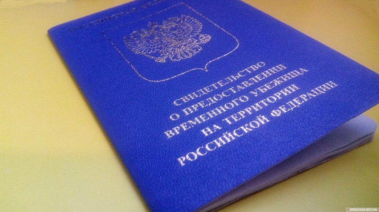 Названо число беженцев в России
