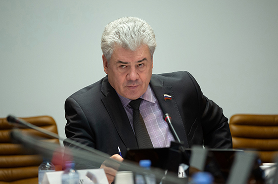 В Совфеде предложили законодательно закрепить понятия «фашизм» и «нацизм»