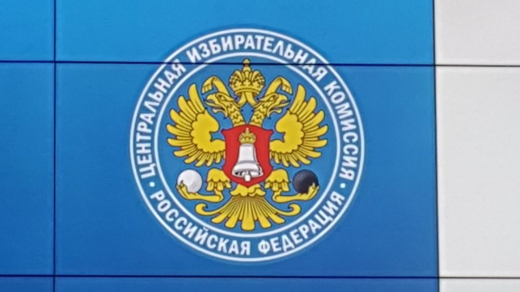Международные наблюдатели положительно оценили ход голосования в России
