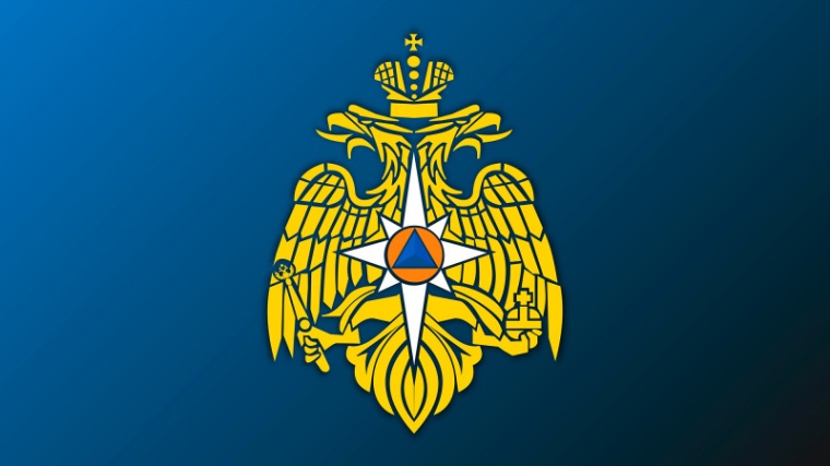 МЧС России уточнит механизм оказания гуманитарной помощи иностранным гражданам