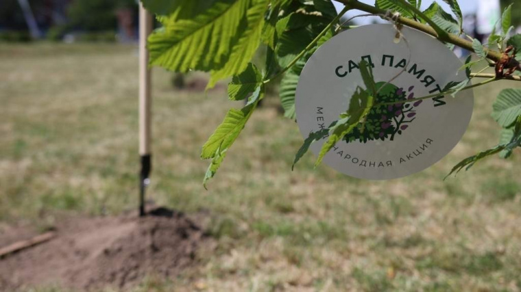 В Великобритании впервые провели международную патриотическую акцию «Сад памяти»