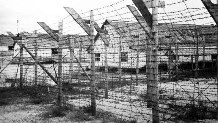 ФСБ опубликовала материалы о зверствах нацистов в Брянской области в годы Великой Отечественной войны