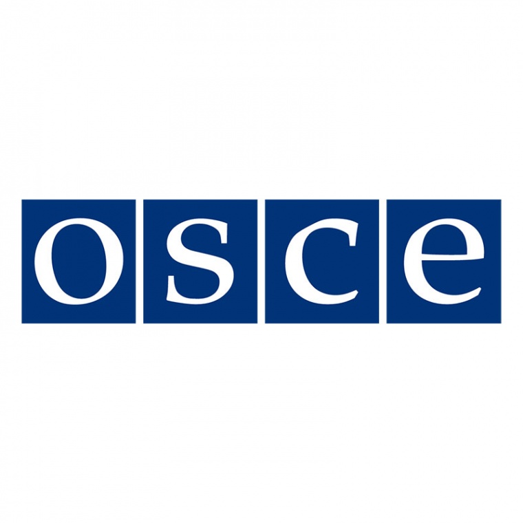 МИД России раскритиковал работу ОБСЕ, в которой председательствует Польша