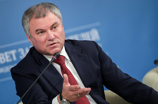 Вячеслав Володин изучит материалы о правозащитниках, пострадавших от действий западных стран