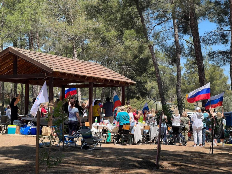 Соотечественники на Кипре начали сбор подписей под петицией с призывом возобновить авиасообщение с РФ