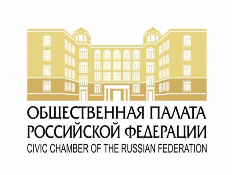 Делегацию Общественной палаты не пустили на мероприятие ОБСЕ в Вене